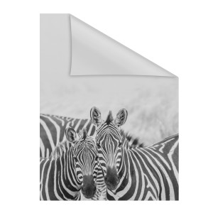 Fólie na okno ZEBRA [DE]